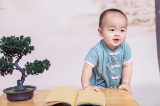 供卵助孕联系方式可爱的企鹅宝宝